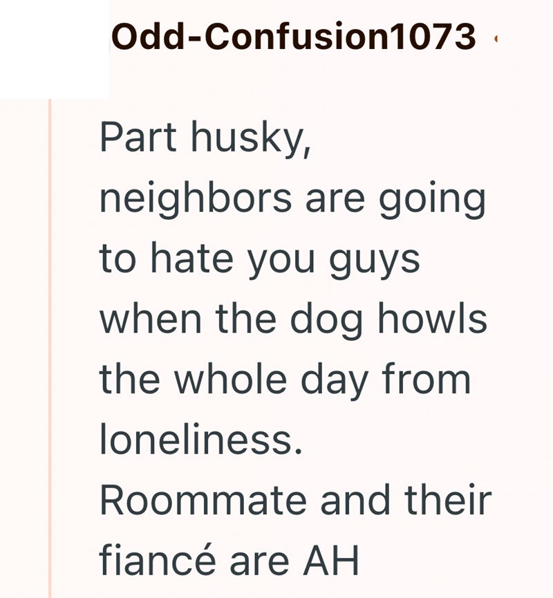 Odd-Confusion1073. Part husky, neighbors are going to hate you guys when the dog howls the whole day from loneliness. Roommate and their fiancé are AH