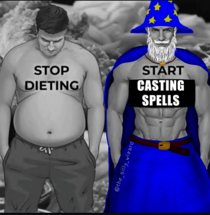 STOP DIETING START CASTING SPELLS 55 @the_silly wizard