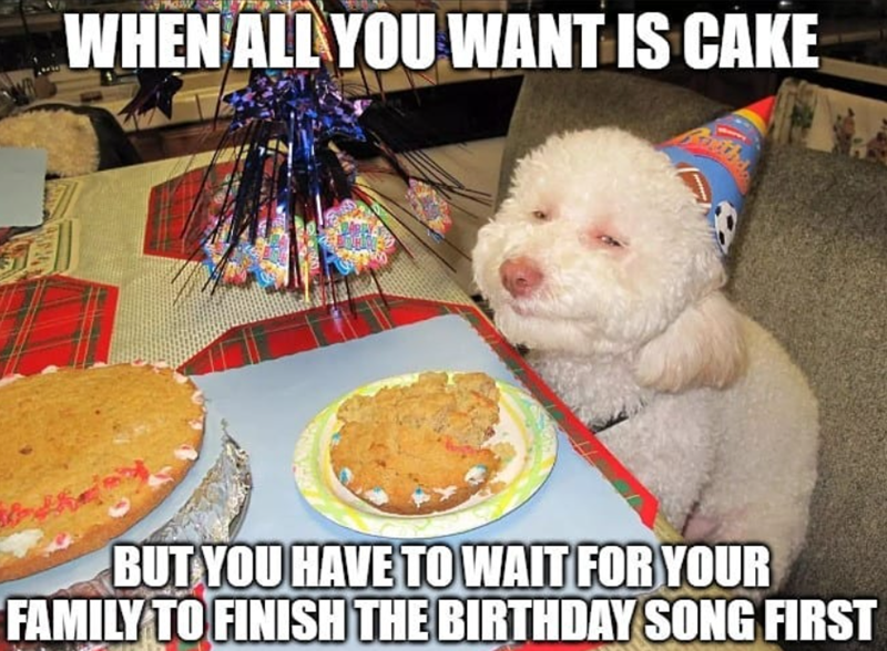 WHEN ALL YOU WANT IS CAKE BUT YOU HAVE TO WAIT FOR YOUR FAMILY TO FINISH THE BIRTHDAY SONG FIRST