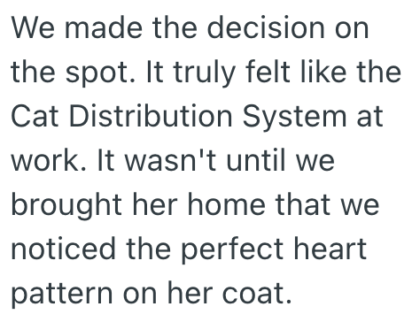 We made the decision on the spot. It truly felt like the Cat Distribution System at work. It wasn't until we brought her home that we noticed the perfect heart pattern on her coat.