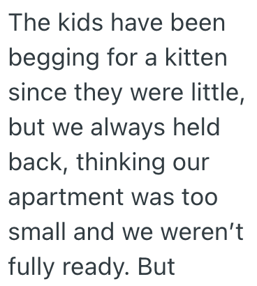 The kids have been begging for a kitten since they were little, but we always held back, thinking our apartment was too small and we weren't fully ready. But