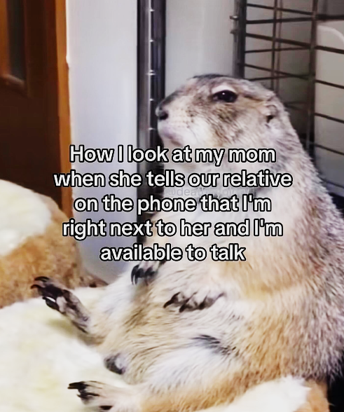 How I look at my mom when she tells our relative on the phone that I'm right next to her and I'm available to talk