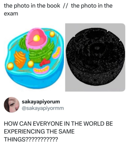 the photo in the book // the photo in the exam sakayapiyorum @sakayapiyormm HOW CAN EVERYONE IN THE WORLD BE EXPERIENCING THE SAME THINGS???????????