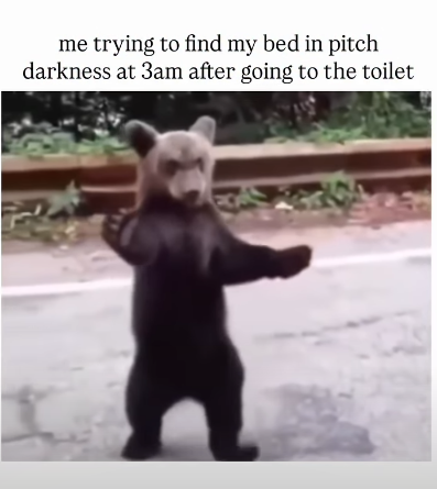 me trying to find my bed in pitch darkness at 3am after going to the toilet