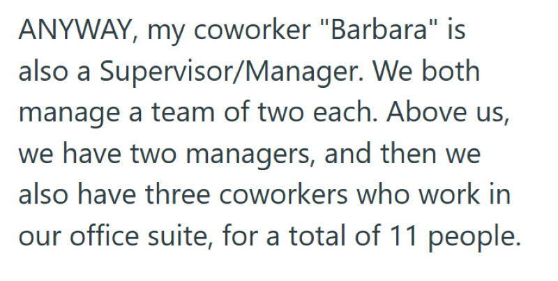ANYWAY, my coworker "Barbara" is also a Supervisor/Manager. We both manage a team of two each. Above us, we have two managers, and then we also have three coworkers who work in our office suite, for a total of 11 people.