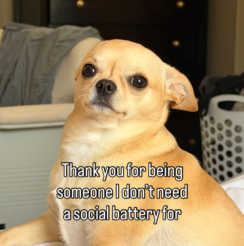 Thank you for being someone I don't need a social battery for