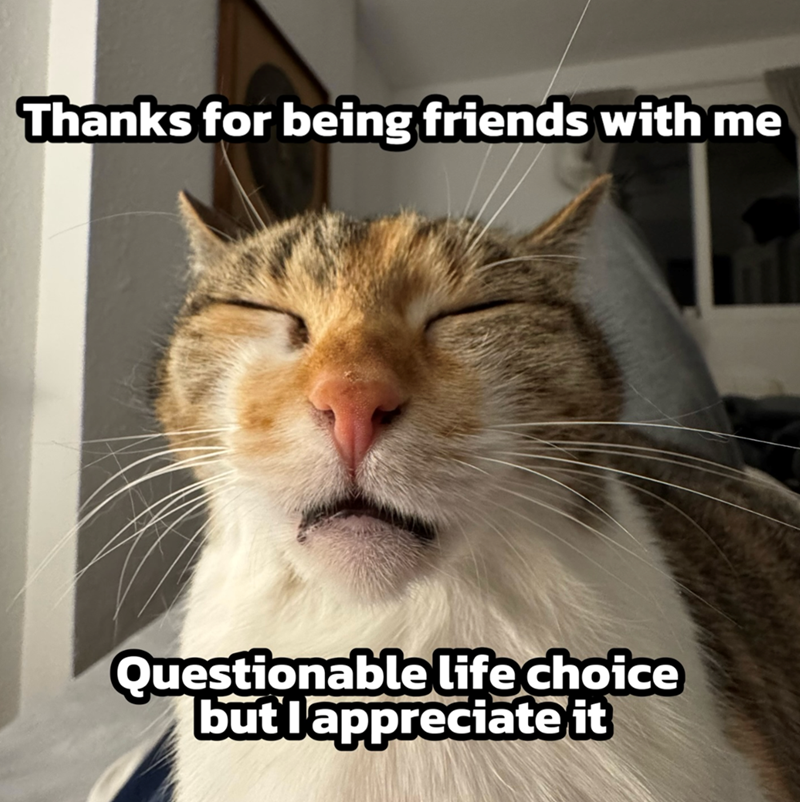 Thanks for being friends with me Questionable life choice but lappreciate it