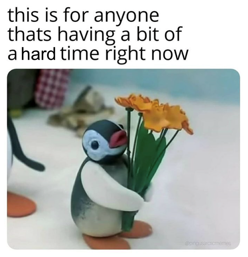 this is for anyone thats having a bit of a hard time right now @pingusarcticmemes