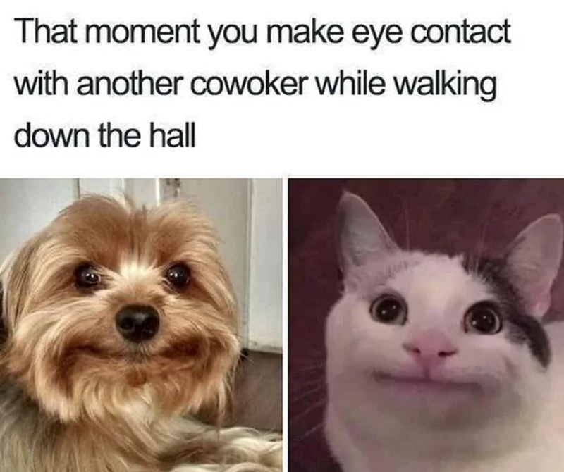 That moment you make eye contact with another cowoker while walking down the hall