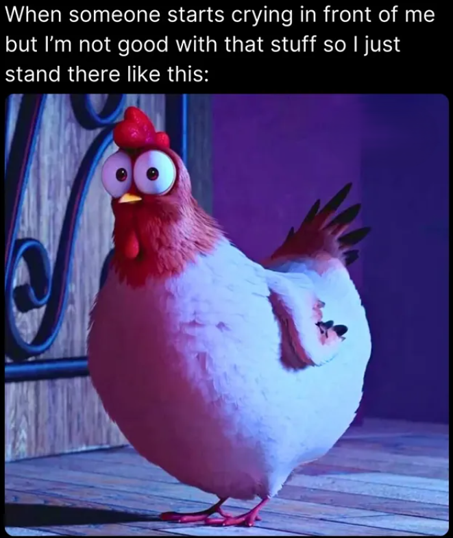 When someone starts crying in front of me but I'm not good with that stuff so I just stand there like this: