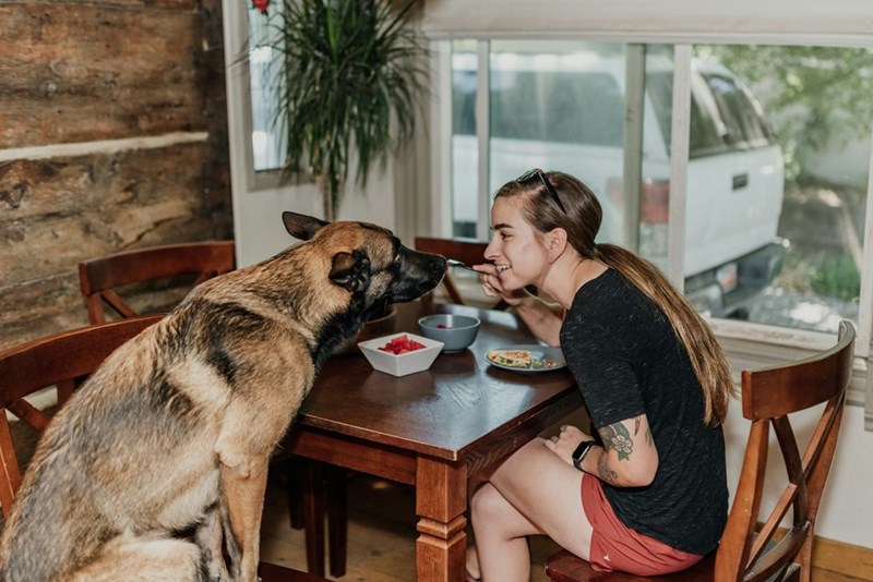 A depiction of a young woman sitting at a table with her large German Shepherd dog.