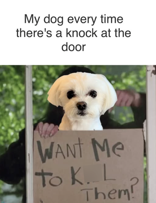 My dog every time there's a knock at the door WANT Me to K. L Them?