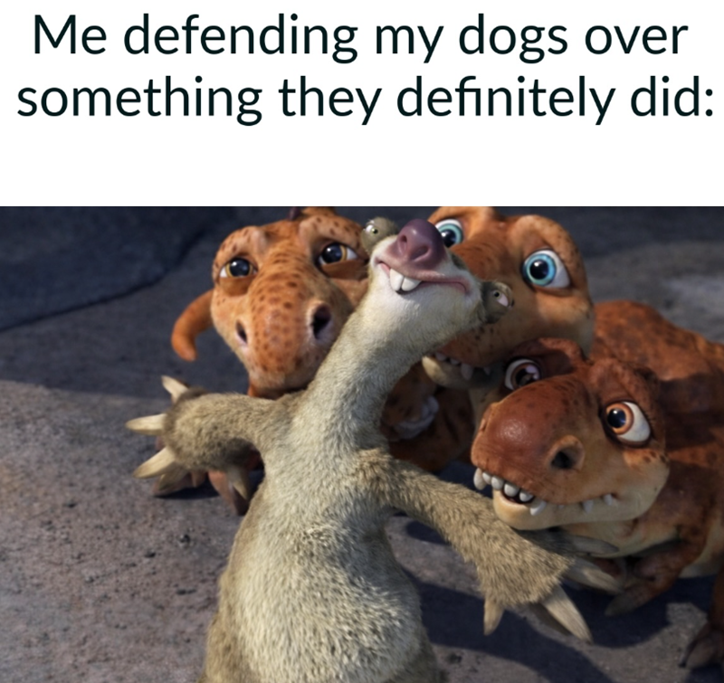 Me defending my dogs over something they definitely did: