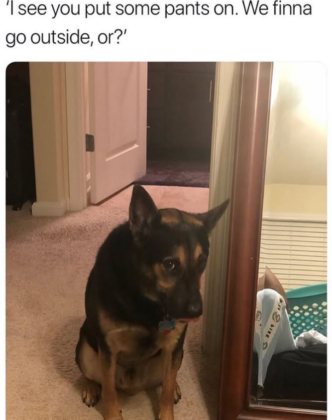 'I see you put some pants on. We finna go outside, or?' B&WINK &