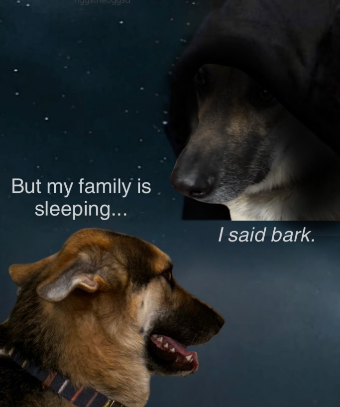 But my family is sleeping... I said bark.