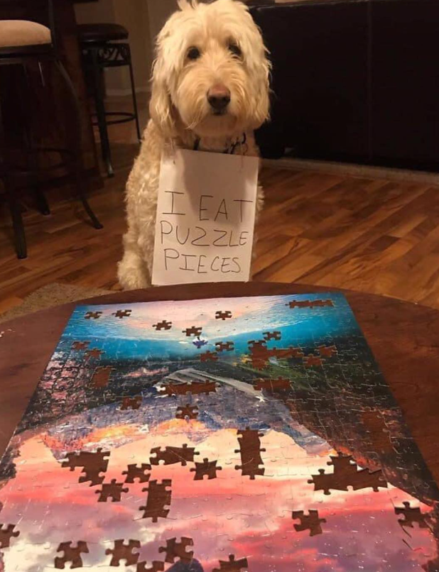 I EAT PUZZLE PIECES.