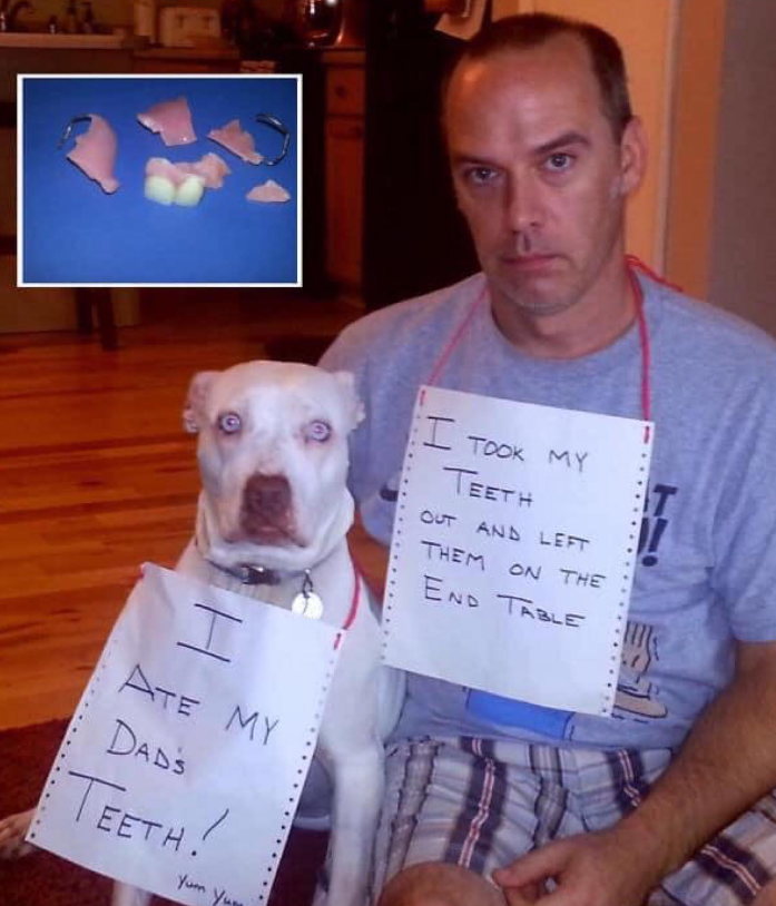 T ATE MY DAD'S TEETH! Yum Yum I TOOK MY TEETH OUT AND LEFT THEM ON THE END TABLE T