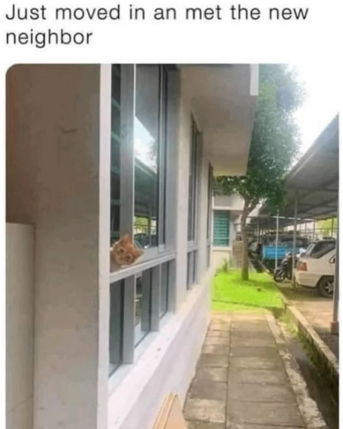 Just moved in an met the new neighbor