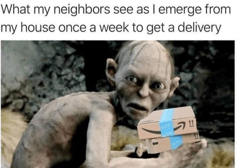 What my neighbors see as I emerge from my house once a week to get a delivery echo echo 11 echo