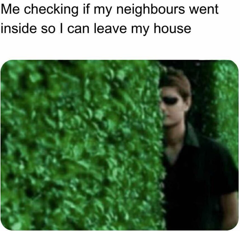 Me checking if my neighbours went inside so I can leave my house