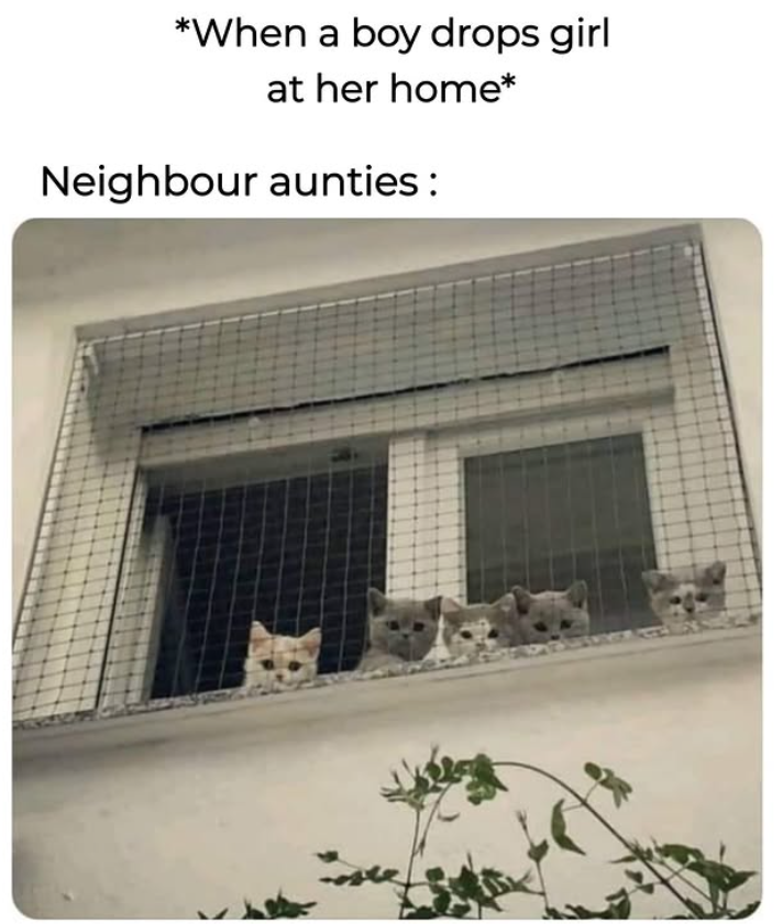 *When a boy drops girl at her home* Neighbour aunties: