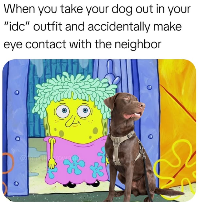 When you take your dog out in your "idc" outfit and accidentally make eye contact with the neighbor rown