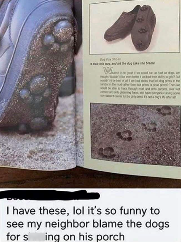 Dog Day Shoes this way, and let the dog take the blame Wum t be great it we could run as fast as dogs rought would ability to go? But would be best of al d we had shoes that let dog prints in the sand or in the mud ather than foot prints or shoe prints? Then would be able to tack through mud and onto carpets, over cement and onto gling toons, and have everyone cursing some con-et cavine for the dirty deed It's not a dog's Me after al I have these, lol it's so funny to see my neighbor blame the d