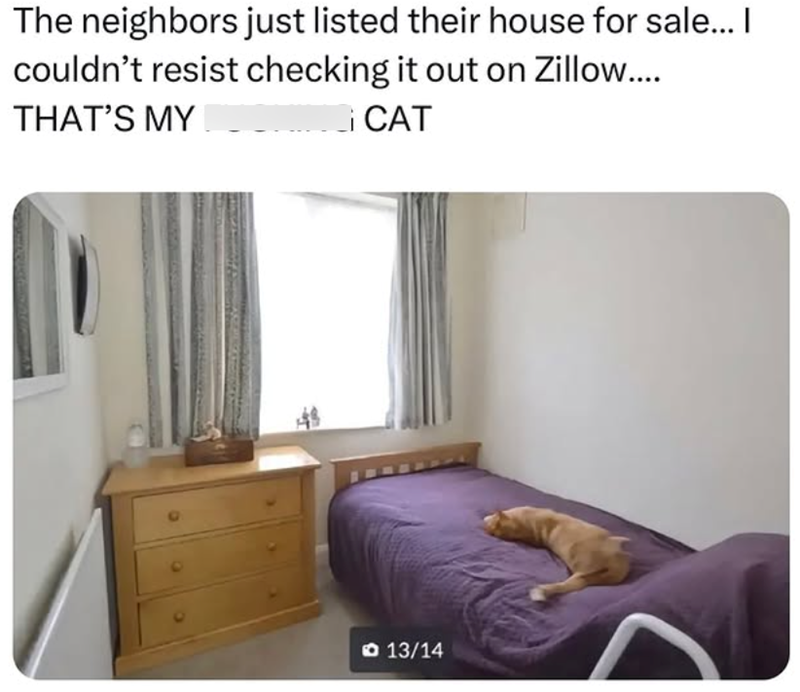 The neighbors just listed their house for sale... I couldn't resist checking it out on Zillow.... THAT'S MY CAT 13/14
