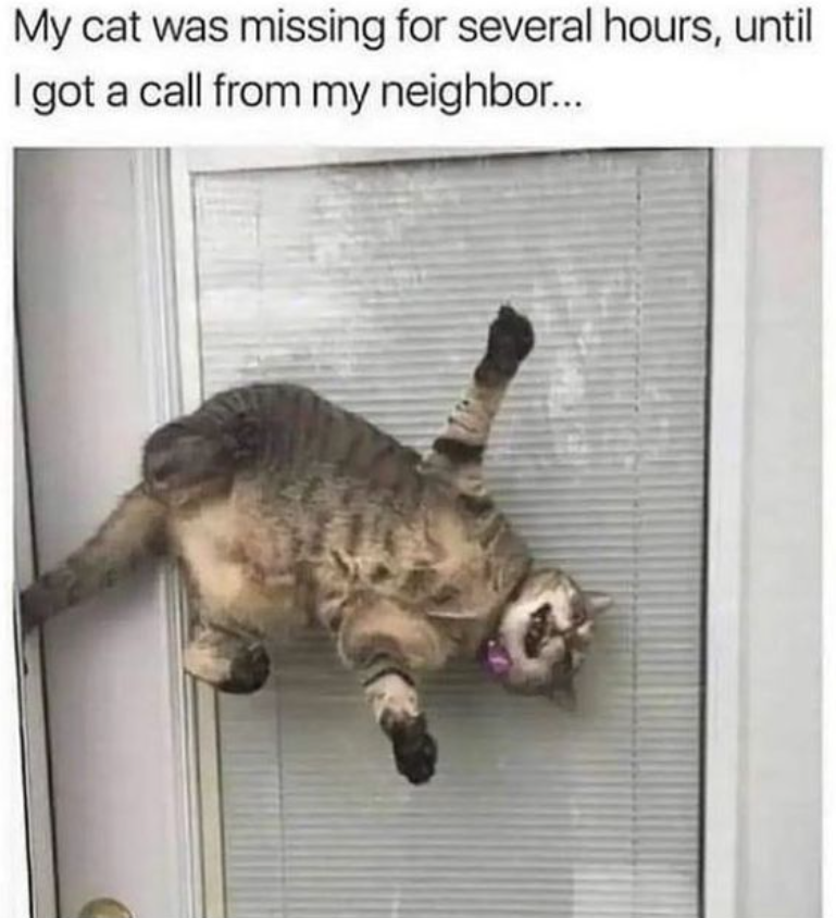 My cat was missing for several hours, until I got a call from my neighbor...