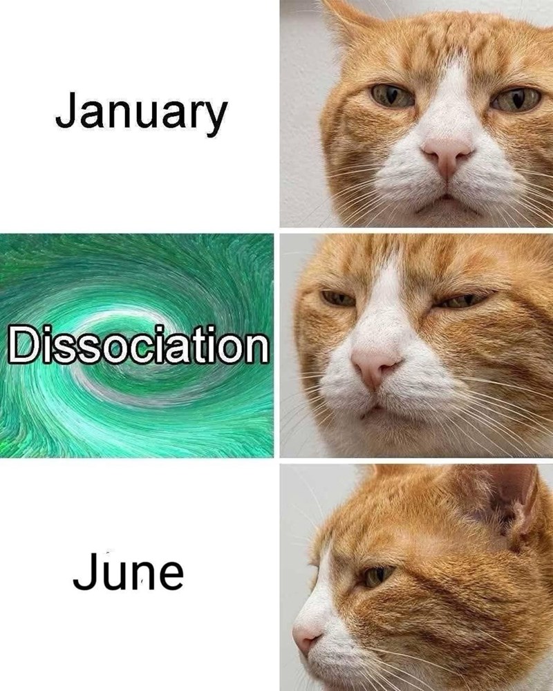 January Dissociation June