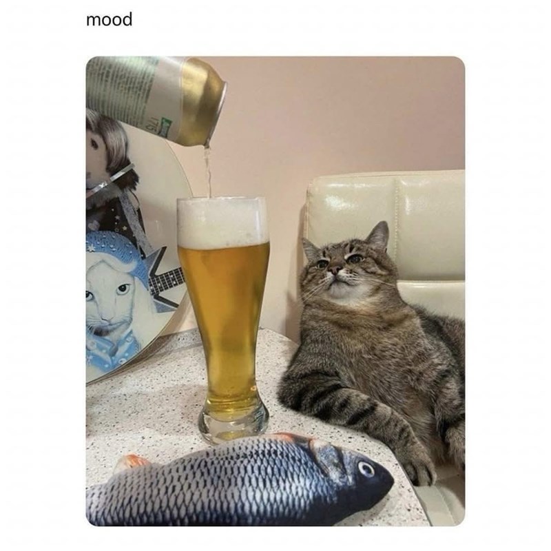 mood 1715 O