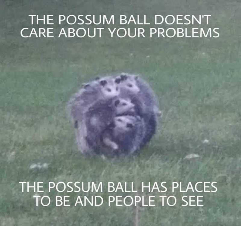 THE POSSUM BALL DOESN'T CARE ABOUT YOUR PROBLEMS THE POSSUM BALL HAS PLACES TO BE AND PEOPLE TO SEE