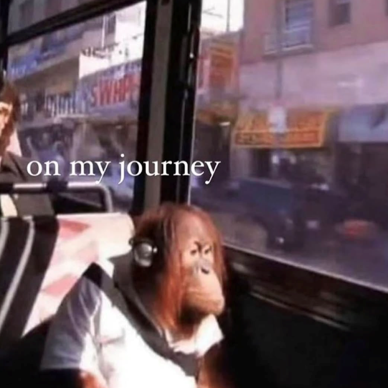 on my journey