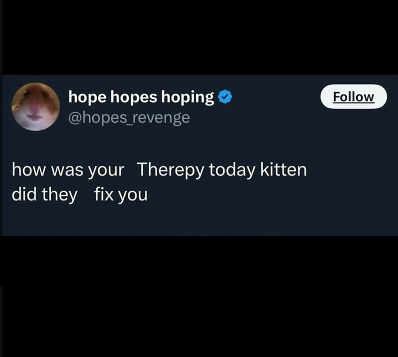hope hopes hoping ❤ @hopes_revenge Follow how was your Therepy today kitten did they fix you