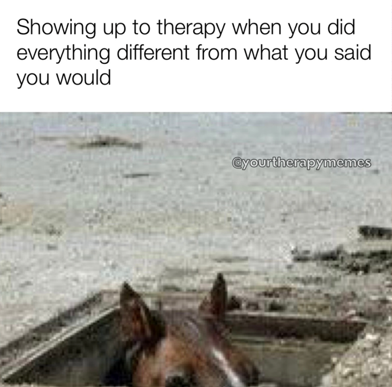 Showing up to therapy when you did everything different from what you said you would @yourtherapymemes