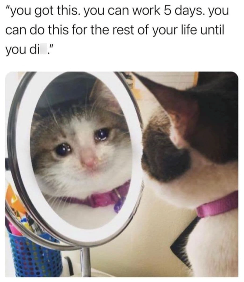 "you got this. you can work 5 days. you can do this for the rest of your life until you di.."