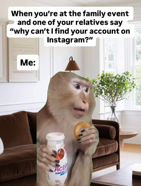 When you're at the family event and one of your relatives say "why can't I find your account on Instagram?" Me: Acti NOMOFART