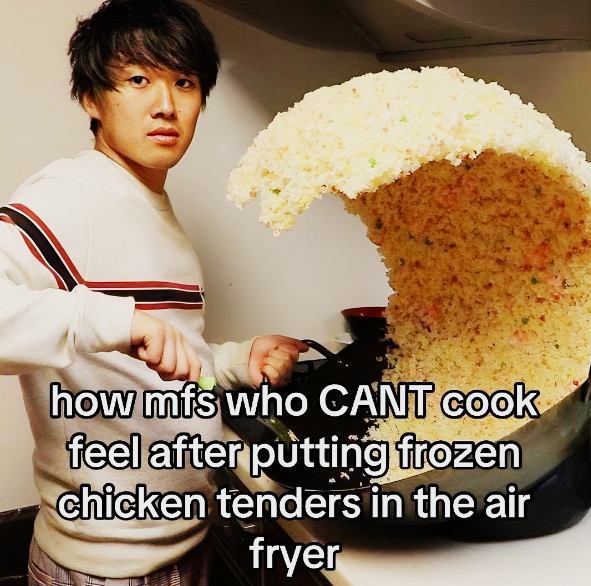 how mfs who CANT cook feel after putting frozen chicken tenders in the air fryer