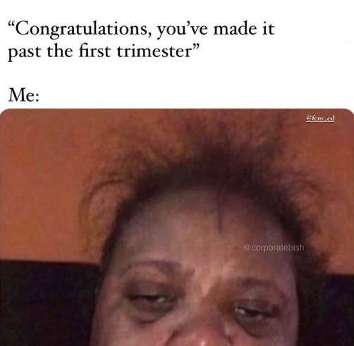 "Congratulations, you've made it past the first trimester" Me: @corporatebish fem ed