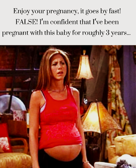 Enjoy your pregnancy, it goes by fast! FALSE! I'm confident that I've been pregnant with this baby for roughly 3 years...