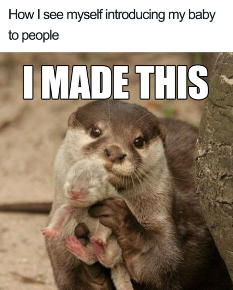 How I see myself introducing my baby to people I MADE THIS