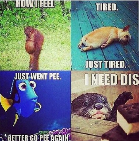 HOW FEEL TIRED. JUST-WENT PEE. JUST TIRED. I NEED DIS BETTER GO PEE AGAIN.