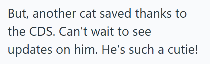 But, another cat saved thanks to the CDS. Can't wait to see updates on him. He's such a cutie!