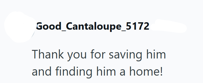 Good_Cantaloupe_5172 Thank you for saving him and finding him a home!