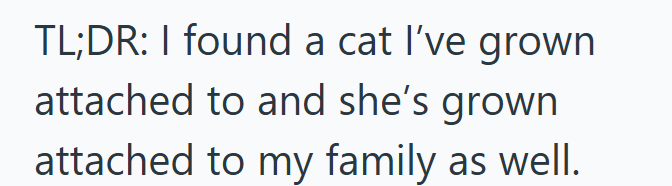 TL;DR: I found a cat I've grown attached to and she's grown attached to my family as well.