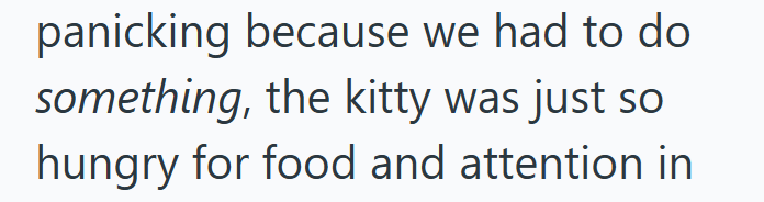 panicking because we had to do something, the kitty was just so hungry for food and attention in