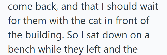 come back, and that I should wait for them with the cat in front of the building. So I sat down on a bench while they left and the