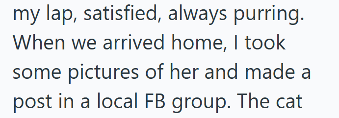 my lap, satisfied, always purring. When we arrived home, I took some pictures of her and made a post in a local FB group. The cat