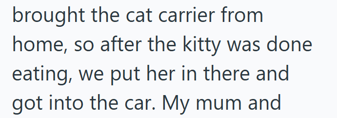 brought the cat carrier from home, so after the kitty was done eating, we put her in there and got into the car. My mum and