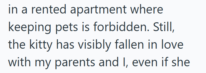 in a rented apartment where keeping pets is forbidden. Still, the kitty has visibly fallen in love with my parents and I, even if she
